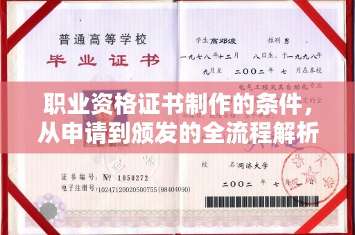 六甲职业资格证书制作的条件，从申请到颁发的全流程解析